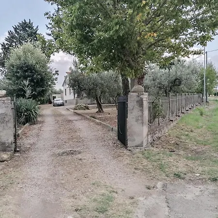 Relax Tra Gli Ulivi Casalbordino