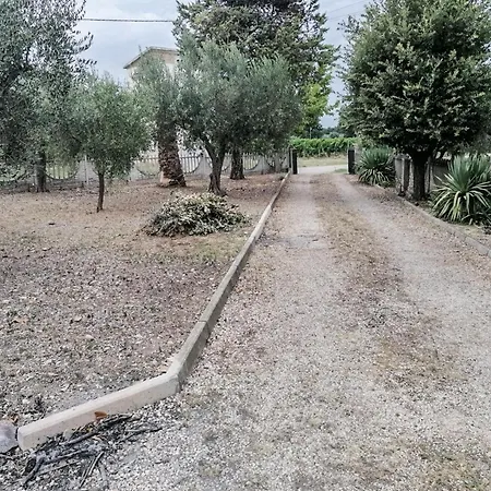 Relax Tra Gli Ulivi